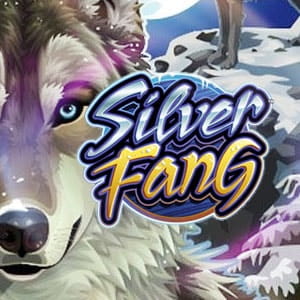 Игровые автоматы Silver Fang